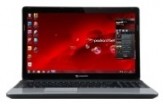 Ремонт Packard Bell EasyNote TE11 AMD