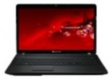 Ремонт Packard Bell EasyNote F4311